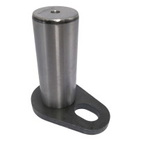 Bolzen der Schwenkachse...