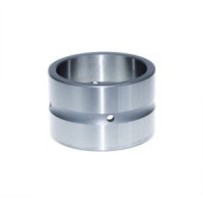 Buchse des Schwenkzylinders...