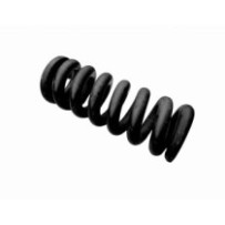 Spannfeder für...