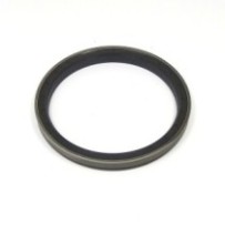 Radnaben-Dichtung vorne...