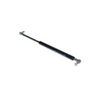 Hydraulikzylinder Tür...