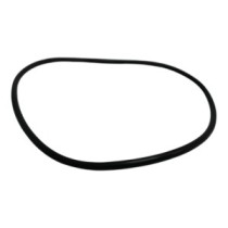 Dichtung für Bolzen und Buchse CATERPILLAR 307