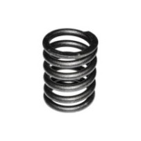 Ventilfeder Motor...