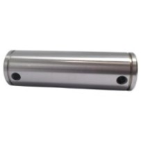 Bolzen des Scharniergelenks...