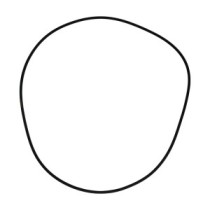 Dichtung O-RING CATERPILLAR 561C 637D 772G