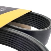 Keilrippenriemen CATERPILLAR 428E