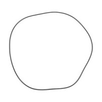 Dichtung O-RING CATERPILLAR...