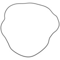 Dichtung O-RING CATERPILLAR...