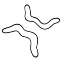 Zahnkeilriemen CATERPILLAR...