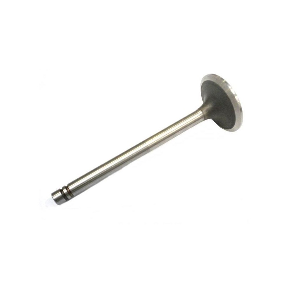 Auspuffventil Motor CATERPILLAR 140G 215C 235C