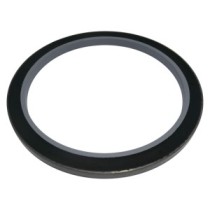 Dichtung des Rollenrahmens der Kette CATERPILLAR D6H XL D6R D6H