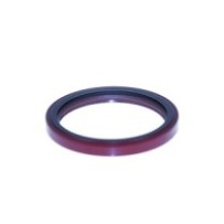 Wangen-Dichtung CATERPILLAR...