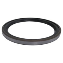 Wellendichtung für Gelenke von Stangen und Auslegern CATERPILLAR 307 E140