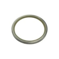 Dichtung für Bolzen und...