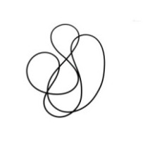 Dichtung O-Ring Achse VOLVO...