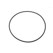 Dichtung des Bremskolbens...