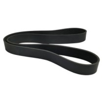 Riemen VOLVO 20411860