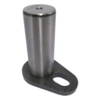 Bolzen der Schwenkachse...