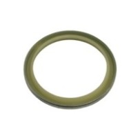 Dichtung für Bolzen und...