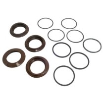 Dichtungssatz VOLVO MULDE A25F A30F