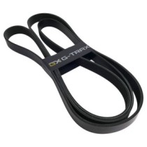 Keilrippenriemen CATERPILLAR 962H D6N D5N