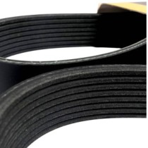 Keilrippenriemen CATERPILLAR 428E 432E 434E 444E