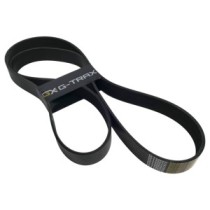 Keilrippenriemen VOLVO BL71