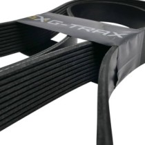 Keilrippenriemen VOLVO BL71