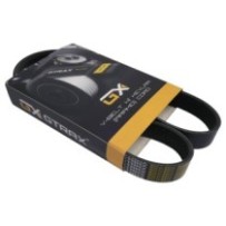 Keilrippenriemen CASE 590SM