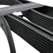 Motorriemen CATERPILLAR Planierraupe D5N