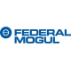 Federal Mogul